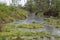 Upland moor in Southern Bavaria, Germany