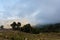 Upland pasture in Etna region of Sicily