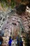 Uplit stalactites in St. Michael`s Cave, Gibraltar