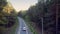 Upper auto drives along road and power lines in pine wood