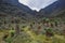 Upper Bujuku Valley in the Rwenzori Mountains National Park, Uganda