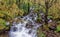 Upper Falls, Glen Nevis in Autumn