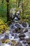 Upper Falls, Glen Nevis in Autumn