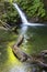 Upper Goldstream Waterfall Lush Forest Pacific Northwest Vancouver Island Canada Nature