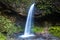 Upper latourell falls in oregon state park