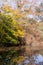Upper Leach pond in Autumn