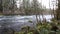 Upper McKenzie River HD Video