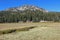 Upper Meadow and Kings Creek (CA 05963