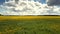 Upper motion over wide dandelion meadow under summer sky