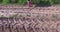 In the upper part of the frame girl picked wildflowers near the field road in pink boots.