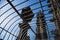 The upper part of the tower of Cologne Cathedral, observation deck