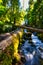 Upper Proxy Falls, Wilamette National Forest, Oregon