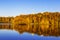 Upper Tsaritsyn pond with island Bird island in autumn at sunset, Moscow