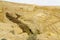 Upper view of the Canyon of Ein Avdat National Park