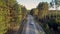 Upper view new highway with car among evergreen pines