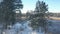 Upper view slim girl walks along track in winter forest