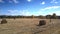 Upper view woman figure stands among straw bales on field