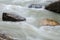 Upper waterfall at Johnson Canyon Canada