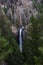 Upper Yellowstone River Falls  in Yellowstone National Park