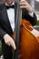 Upright bass musician