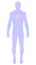 Upright blue silhouette of body with radial dot pattern