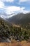 Upright photography Snowy Pine Trees with High Mountain Background in Huanglong, China