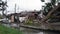 Uprooted tree with flooded area after storm