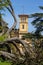 Uprooted Tree in the Gardens at Osborne House, Isle of Wight