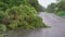 An uprooted tree in a residential area after a tropical storm. Climate change concept