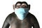 Upset monkey in a mask holding his head, conceptual 3D illustration