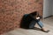 Upset teenage girl with backpack sitting on floor near wall