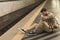 upset young man with backpack late on train and sitting on floor