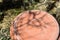 Upside Down Birdbath Shadows