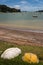 Upside down boats on grassy shore