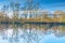 An upside down perspective on a reflected winter pond