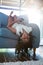 Upside down portrait of girl relaxing on armchair