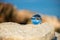 Upside down seascape with blue sky and overgrown with moss rocks - reflection in a lens ball