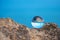 Upside down seascape with the chapel of St. Nicholas at Cape Kaliakra - reflection in a lens ball