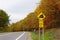 Upstate New York, U.S - October 17, 2022 - A road with sharp corner and sign for trucks to use low gear, with the background of