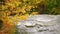 Upstream of Brandywine Falls Loop