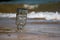 Upturned glass bottle buried in the sand with waves, surf and sand in the background at Diu beach Gujarat India