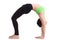 Upward Bow (Wheel) yoga Pose