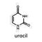 Uracil chemical formula