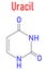 Uracil nucleobase molecule. Present in ribonucleic acid. Skeletal formula.