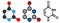 Uracil (U) nucleobase molecule. Present in ribonucleic acid (RNA