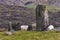 Uragh Stone Circle, Ireland