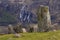 Uragh Stone Circle, Ireland