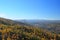 Ural mountain forest in golden fall