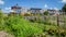 Urban agriculture: a vegetable garden beside an apartment building in the suburbs of a city