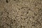 Urban beige floor texture with pebbles. Background pattern.